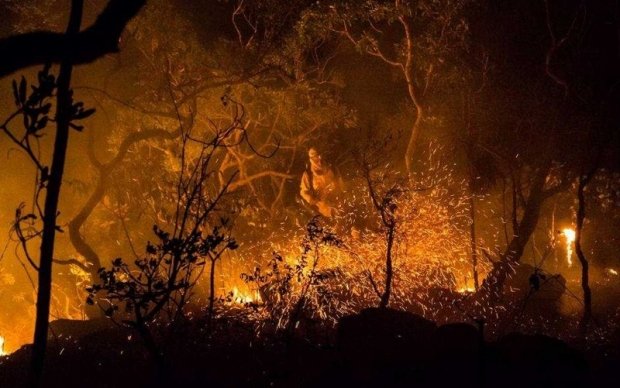 Incêndio no Parque Nacional da Chapada dos Veadeiros já consumiu quase 15% da área da unidade