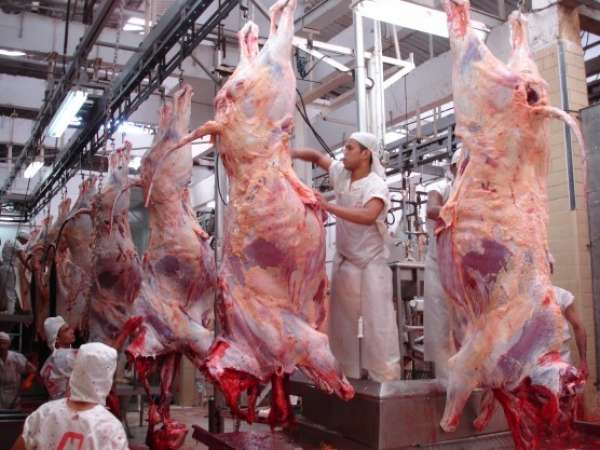 Falta de animais terminados para abate ajuda a manter preços altos em MT