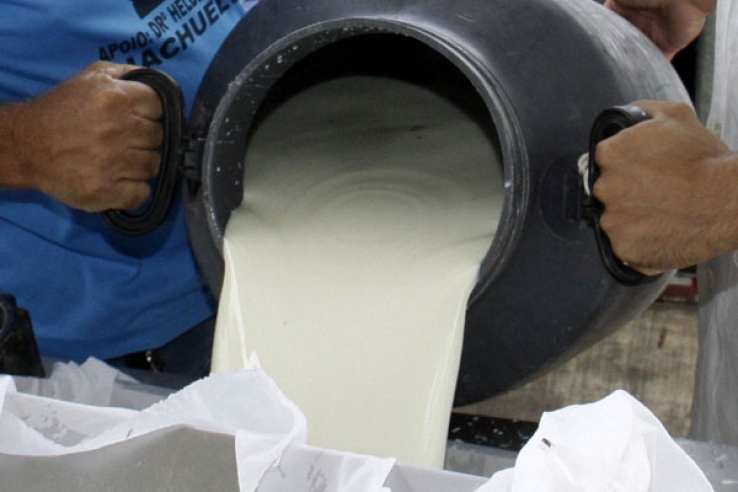 Ministério Público detecta nova fraude no leite no Rio Grande do Sul