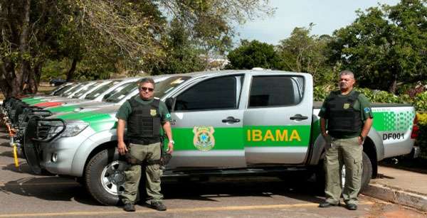 Ibama recebe 400 novas camionetes para fiscalização