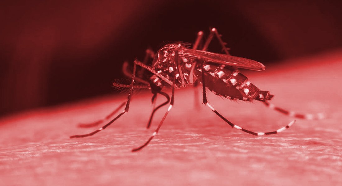MT registra mais de 4 mil casos de dengue em 11 dias