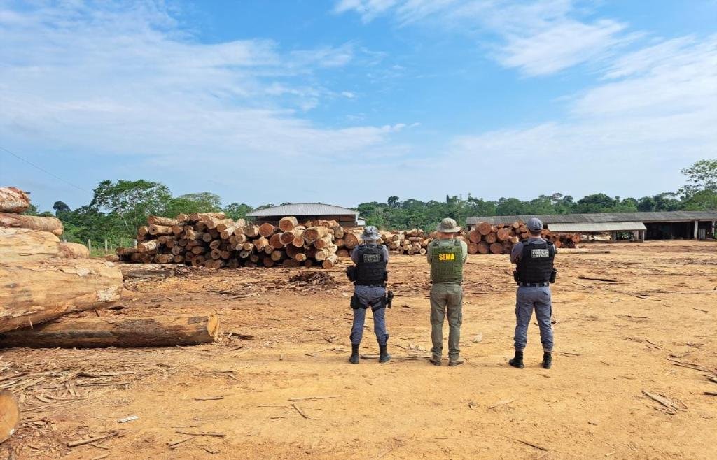 Sema-MT identifica fraude em plano de manejo e apreende 1,8 mil metros cúbicos de madeira ilegal em Apiacás