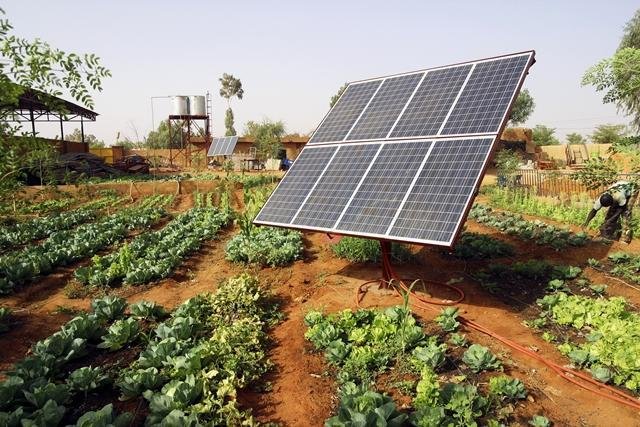 Seaf estuda exploração da energia solar na produção agrícola