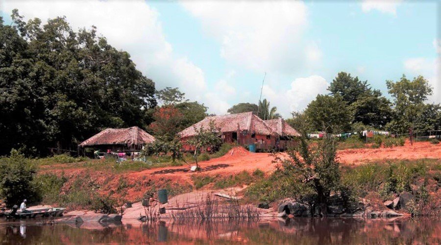 Justiça garante ampliação da Reserva Extrativista Guariba-Roosevelt em Mato Grosso