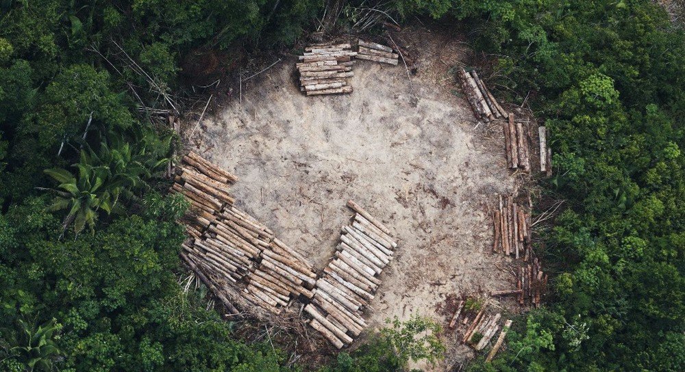 MT registra o maior índice de desmatamento da Amazônia nos últimos 10 anos