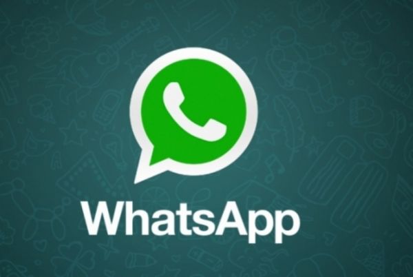 WhatsApp vira antídoto para picadas de cobra e outros bichos