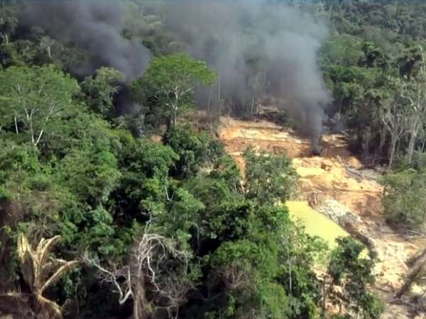 Aripuanã: Ibama flagra exploração de madeira em terras indígenas