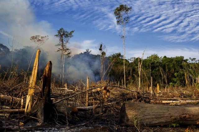 Mudança de legislação pode beneficiar grandes desmatadores da Amazônia, dizem especialistas