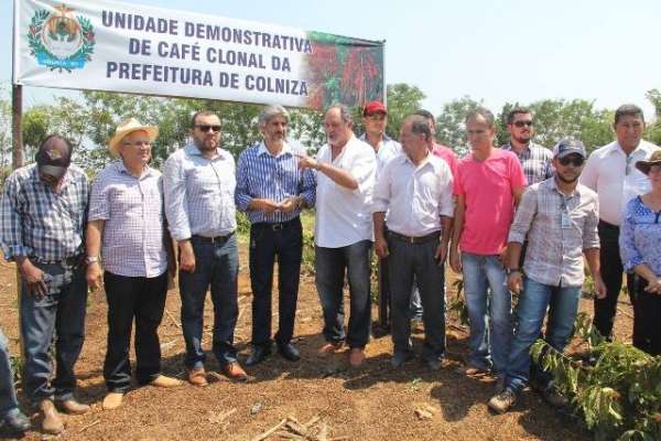 Governo de MT vai incentivar produção de café em Colniza e mais quatro municípios