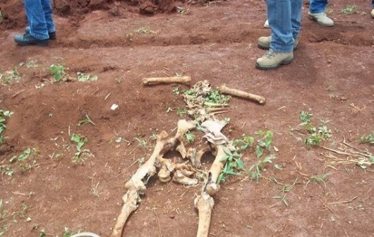 Pedreiro encontra ossada ao fazer escavação para uma obra em Mato Grosso
