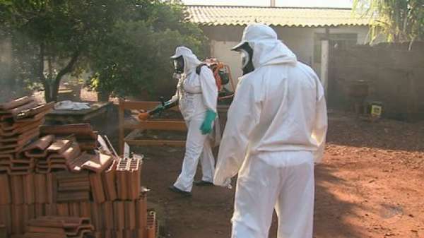 Mato Grosso tem 72 cidades com alerta de epidemia de dengue
