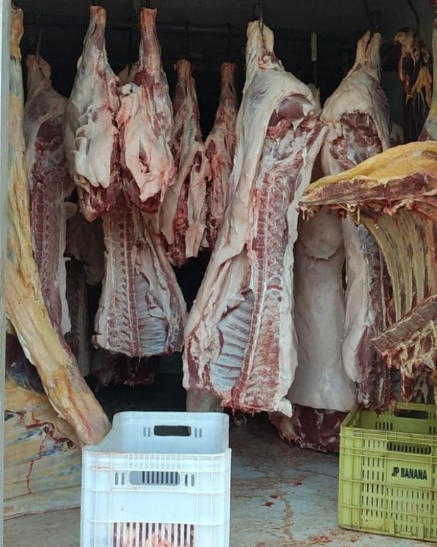 Operação apreende uma tonelada de carne e fecha frigorífico clandestino em MT