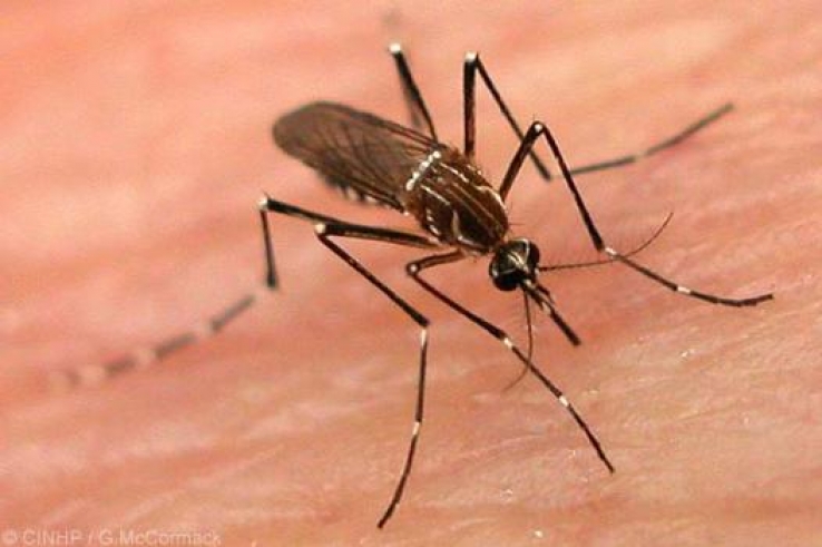  Estado prepara Plano de Contingência de Prevenção e Controle da Dengue