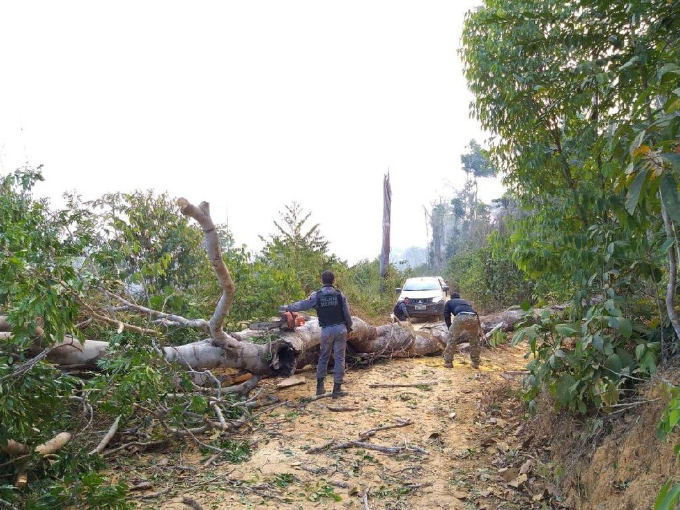 Colniza/MT: Grileiros e posseiros são suspeitos de desmatar Floresta Amazônia e fazer emboscadas contra fiscais em MT