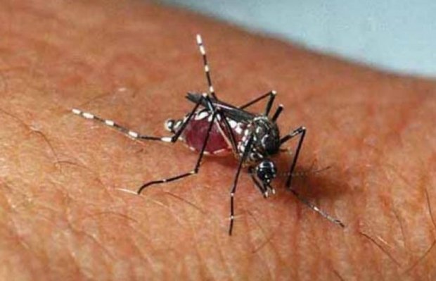 Sinop registra duas mortes por dengue em 15 dias