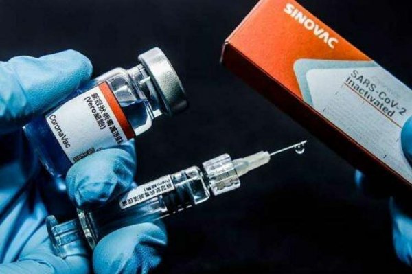 Covid-19: Butantan espera iniciar vacinação em janeiro