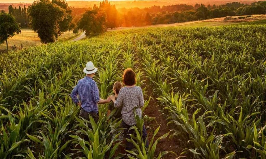 Câmara de Colniza nomeia membros da Comissão de Agricultura e Reforma Agrária Rural