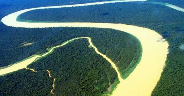 Substituição de floresta altera microrganismos no solo Amazônico