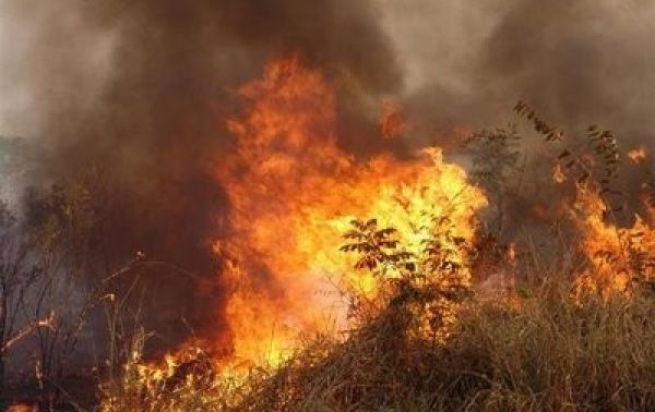 Colniza liderou focos de calor em Mato Grosso