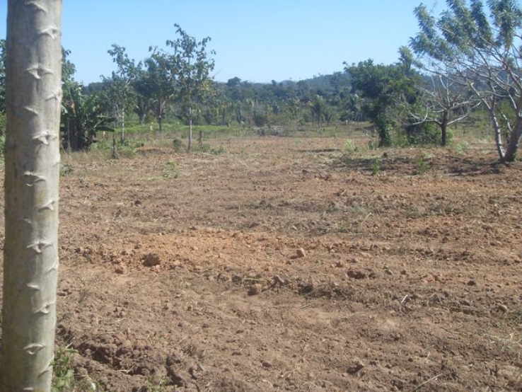 Produtores Rurais São Beneficiados Em Colniza