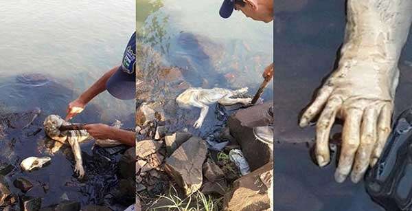 Criatura é encontrada em rio no Paraguai e intriga moradores