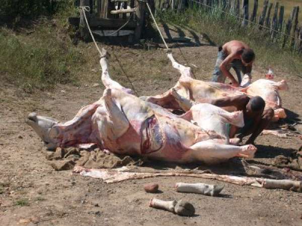 MPE firma TAC que prevê o fim da comercialização de carnes oriundas do abate clandestino em cidade de MT