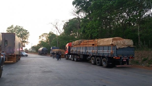 Polícia Civil cumpre buscas em investigações sobre fraudes na fiscalização, comércio e transporte de madeiras