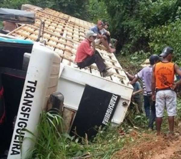 Juína: motorista fica ferido e animais morrem em acidente com caminhão boiadeiro