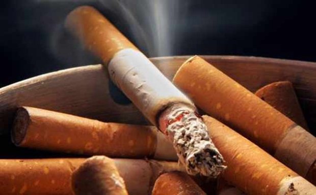 Organização Mundial da Saúde realça liderança do Brasil no controle do tabagismo