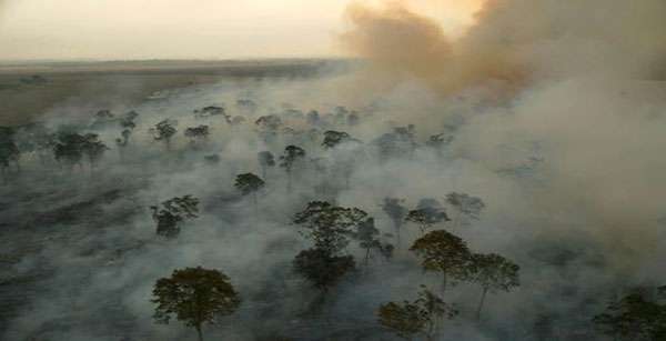 MT lidera degradação florestal na Amazônia Legal em julho, diz Imazon