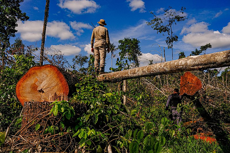 Colniza registra maior área contínua desmatada na Amazônia em 2022