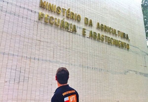 Mato Grosso tem 9 aprovados em concurso público do Ministério da Agricultura; Veja lista