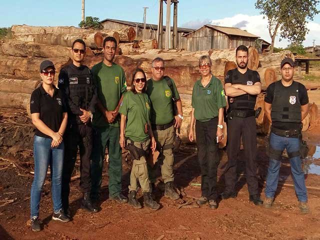 Operação conjunta em Aripuanã prende dono de madeireira e gerente por crimes ambientais