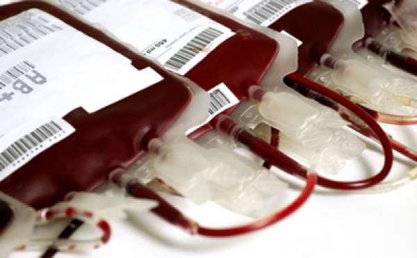 Sangue sintético pode ser testado em 2017, diz Serviço de Saúde britânico