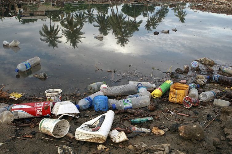 Poluição plástica é tema do Dia Mundial do Meio Ambiente 2018