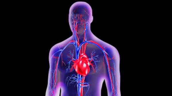 Estudo não vê ligação entre cálcio em suplemento e doenças cardíacas