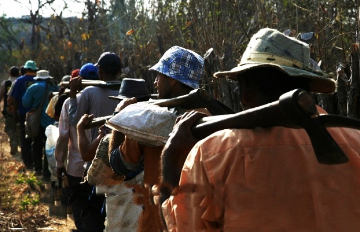MT está em 2º lugar na lista de trabalho escravo no Brasil