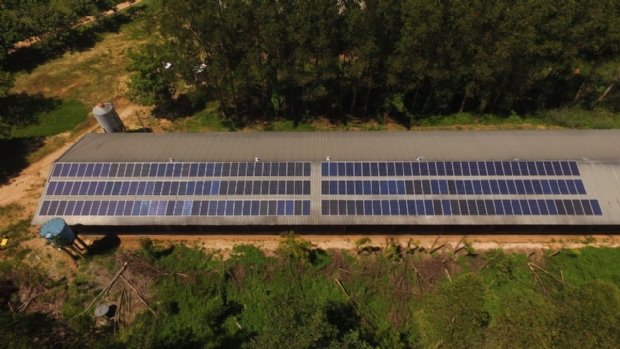 Sicredi libera R$ 40,6 milhões em crédito para projetos de energia solar