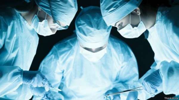 Cientistas japoneses criam rim para transplante em laboratório