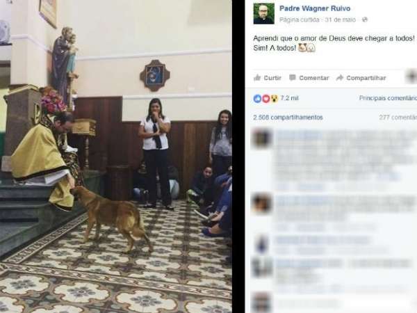 Cão entra em igreja durante pregação e é 'abençoado' por padre: 'Bem-vindo'