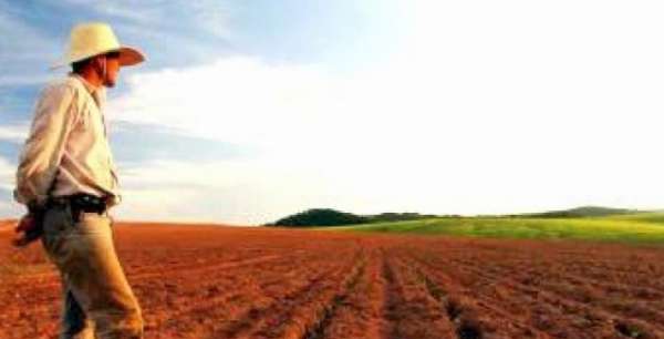 Sindicato Rural de Colniza finaliza curso de operação e regulagem de implementos agrícolas para preparo do solo