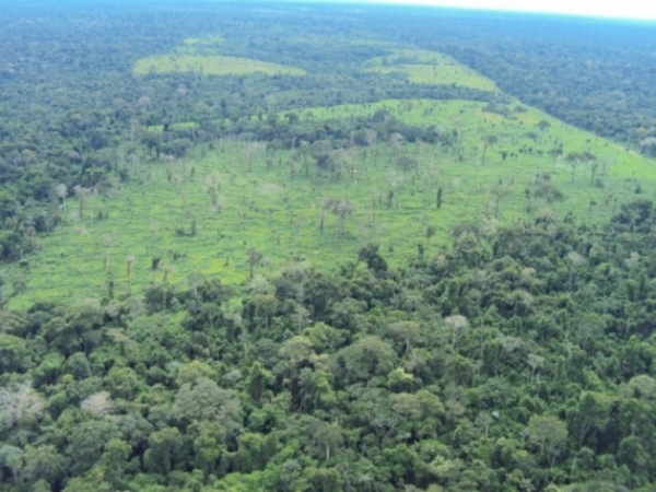 Ibama utiliza tecnologia em favor da Amazônia