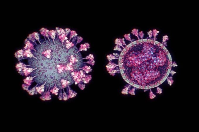 Nova variante do coronavírus é descoberta no Amazonas