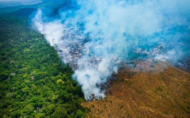 Após alerta de desmatamento recorde na Amazônia, governo exonera coordenadora do Inpe