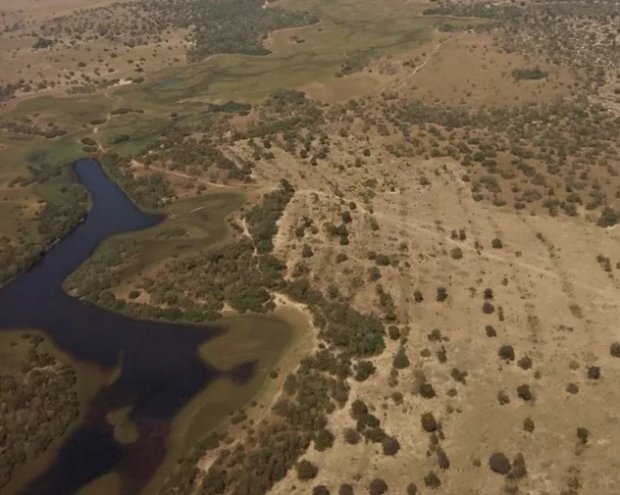 ONG aponta desmatamento no Pantanal para pecuária e agricultura