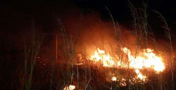 Pastagens são destruídas por incêndio no Nortão