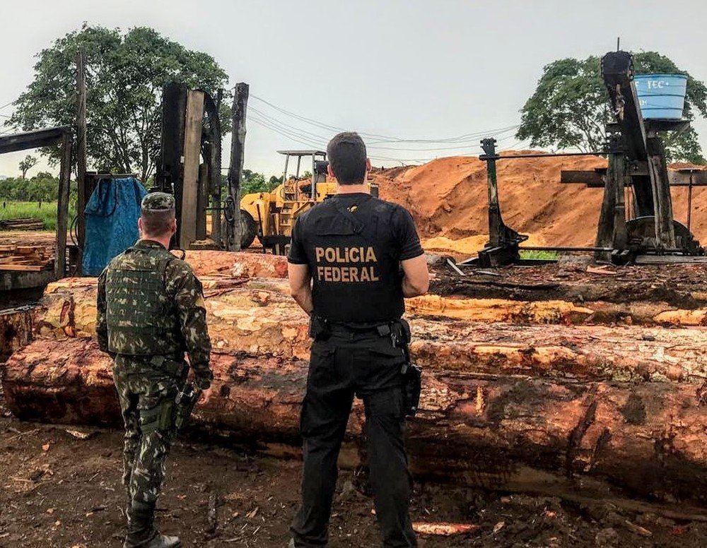 Madeireiros e índios são denunciados por extração de madeira em terra indígena em MT