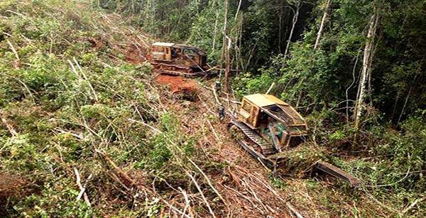Sema amplia fiscalização para acabar com desmatamento