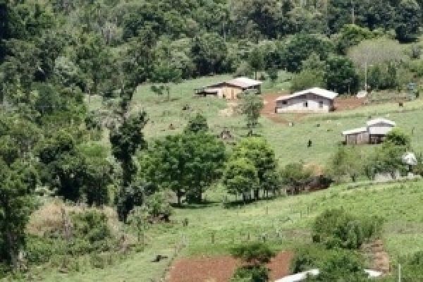 MPF abre investigação contra Incra por beneficiar servidores públicos com assentamento em área destinada para reforma agrária