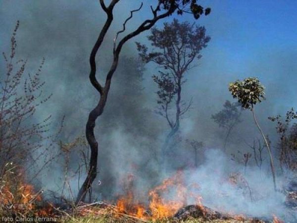 Com seca, Mato Grosso proíbe queimadas a partir desta terça-feira